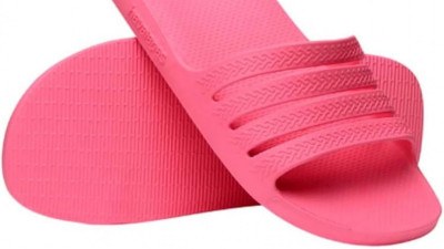 Macaque in the trees