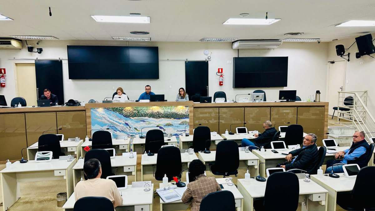 Audi&ecirc;ncia P&uacute;blica sobre a iniciativa foi realizada na C&acirc;mara Municipal em 2025